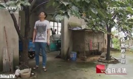 人死后房产怎么分（人死后房产归谁）