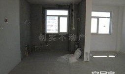 房产毛胚房怎么拍（毛坯房拍卖注意事项）