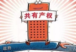 亲子共有房产怎么继承（亲子共有房产怎么继承遗产）