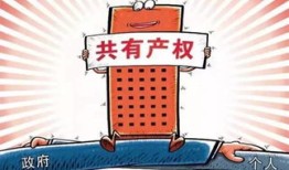 亲子共有房产怎么继承（亲子共有房产怎么继承遗产）