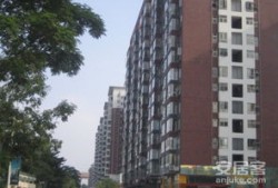 东莞鸿福路房产怎么买卖（东莞鸿福路口新楼盘）