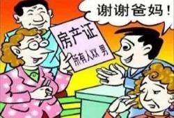 父母没有离婚房产怎么分（父母没有离婚房产怎么分割）