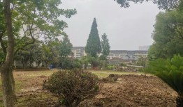 破旧小区房产怎么处理好（小区破旧 怎么才能旧改）