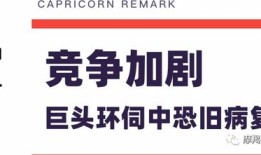 君言房产怎么样（君言科技有限公司）