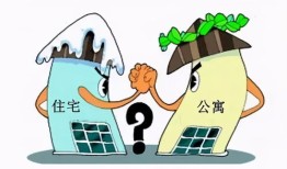 新政房产纠纷怎么处理（新政房产纠纷怎么处理的）
