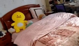 房产视频看房怎么拍（房源视频拍摄技巧）