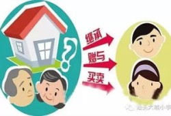 房产过户纠纷怎么办（房产过户纠纷怎么办理）