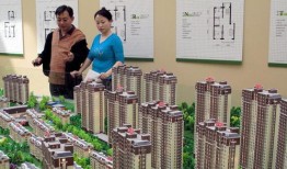 100万做房产怎么赚钱（100万的房子国家能赚多少钱）