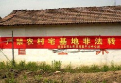 大伯想霸占房产怎么劝解（大伯霸占我家宅基地要盖房子）