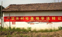 大伯想霸占房产怎么劝解（大伯霸占我家宅基地要盖房子）