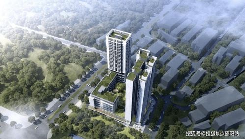 深圳金茂房产怎么样（深圳金茂房地产开发有限公司）