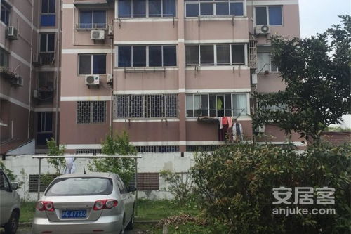 乐昌中介房产怎么样（乐昌中介房屋出租电话）