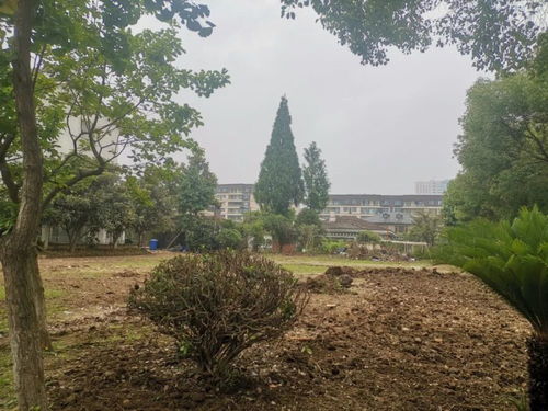 破旧小区房产怎么处理好（小区破旧 怎么才能旧改）