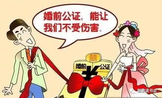 怎么公证共同出资房产（共同投资房产公证）