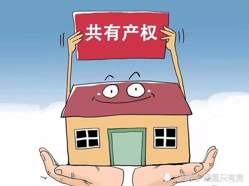 共同拥有房产怎么交易（共同拥有房产怎么交易给子女）