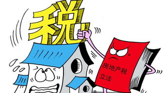 房产契税共有人怎么填（契税共有人指的是什么）