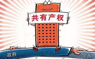 亲子共有房产怎么继承（亲子共有房产怎么继承遗产）