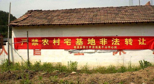 大伯想霸占房产怎么劝解（大伯霸占我家宅基地要盖房子）