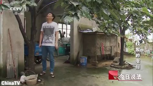 人死后房产怎么分（人死后房产归谁）
