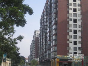 东莞鸿福路房产怎么买卖（东莞鸿福路口新楼盘）