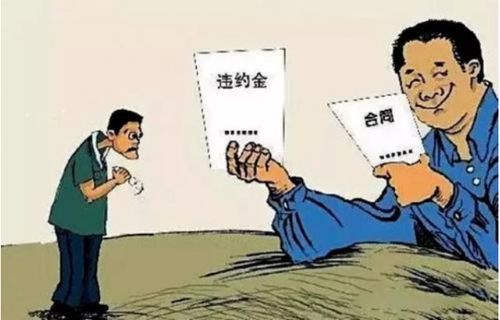 房产过户按揭怎么办理（房产过户按揭怎么办理手续）