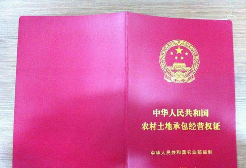 房产证明怎么写 村里（村上房产证明怎么写）