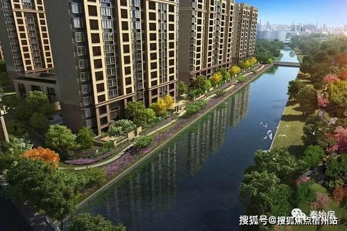 滨海丁香房产怎么样（滨海丁香路527号）