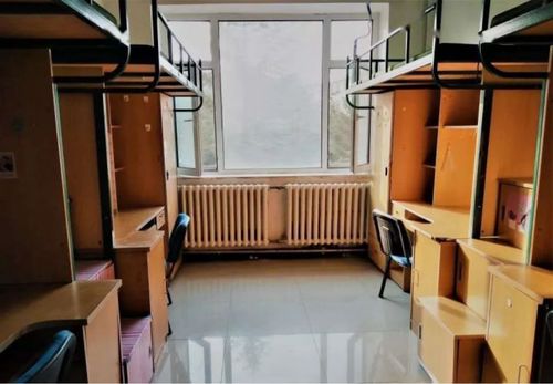 大学宿舍房产介绍怎么写（大学宿舍房产介绍怎么写好）