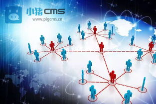 房产社区群怎么运营好（房产社群运营每天都做什么）