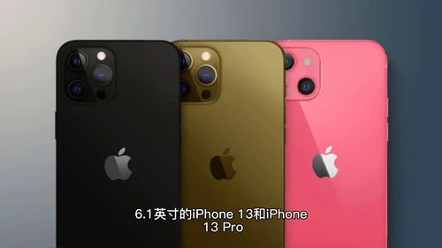 苹果手机全部型号图片及价格(苹果手机全部型号图片及价格时间)
