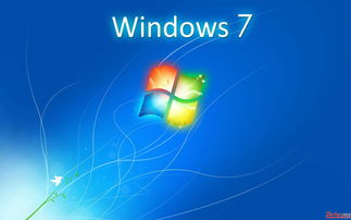windows7中文版(Windows7中文版应用基础,魏茂林主编)