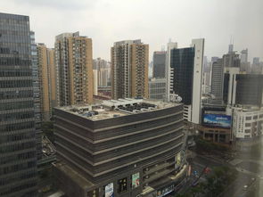 上海金茂大厦88层自助餐价格(自助餐65岁老人优惠)