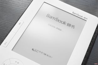 盛大bambook电子书(盛大看书的软件)