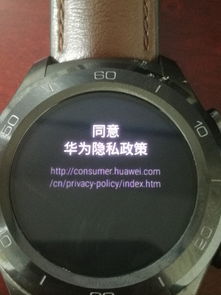 华为手表新款watch2pro(华为手表新款watch2pro怎么连接手机)