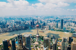 关于松江区在上海什么水平的信息
