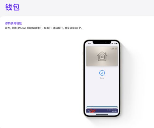 iphone中文官网(苹果官方中文网)