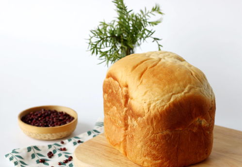 面包机做面包的方法和步骤(用面包机做面包怎么做才松软好吃窍门)