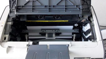 惠普1007打印机(惠普1007打印机驱动下载)