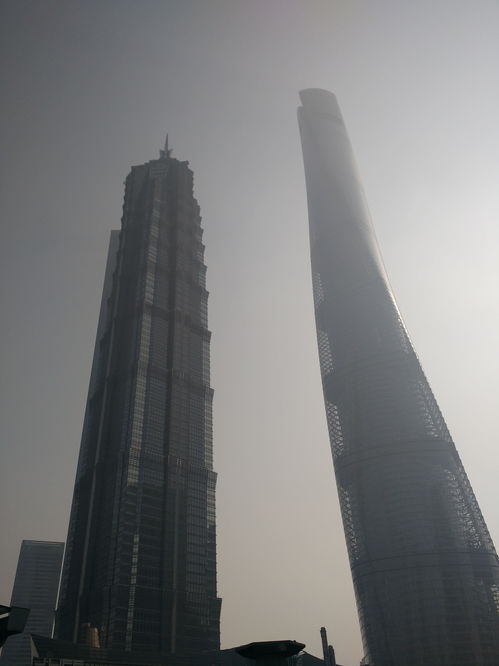 上海88层金茂大厦(上海88层金茂大厦自助餐价格)