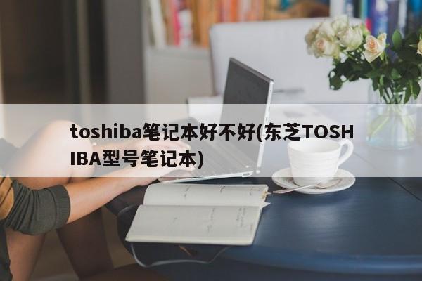 toshiba笔记本好不好(东芝TOSHIBA型号笔记本)